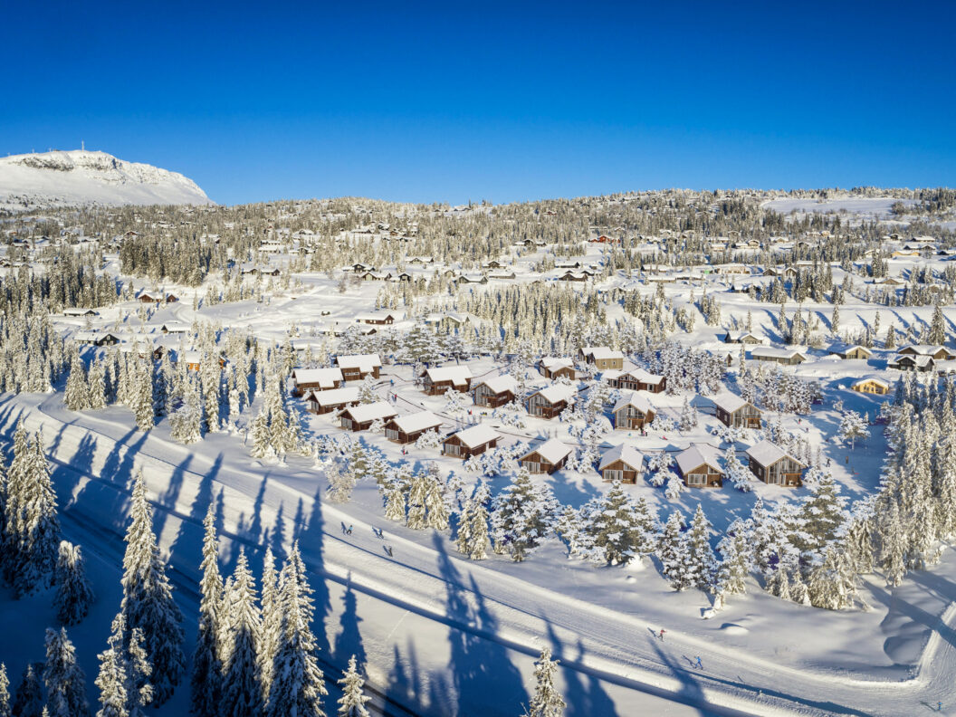 et luftfoto av en snødekket landsby.